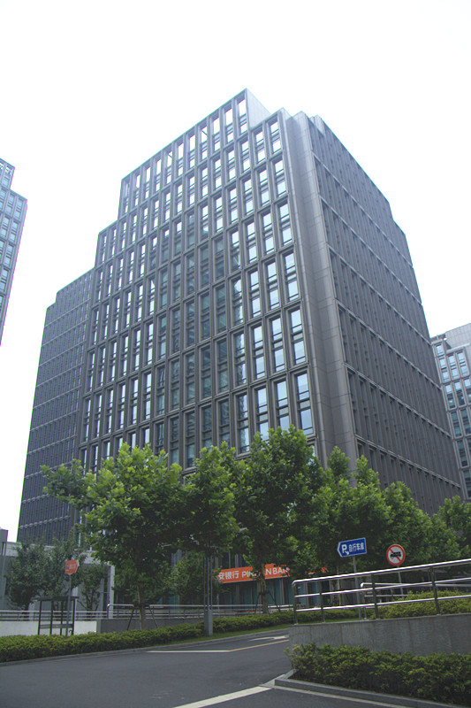 中国平安银行上海自贸区分行数据服务中心